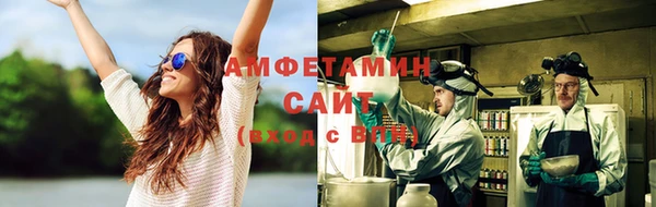 шишки Белокуриха