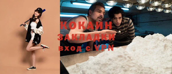 шишки Белокуриха
