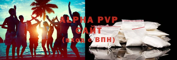 шишки Белокуриха