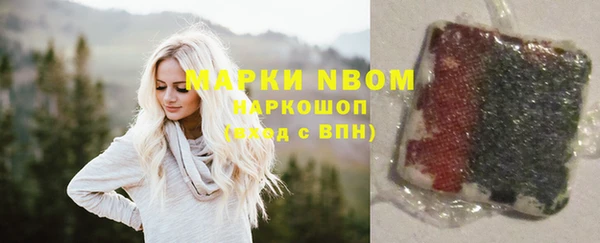 шишки Белокуриха