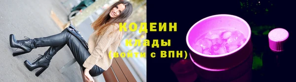 шишки Белокуриха