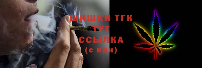 шишки Белокуриха