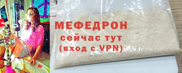 шишки Белокуриха