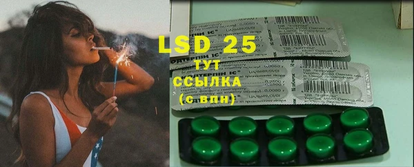 шишки Белокуриха