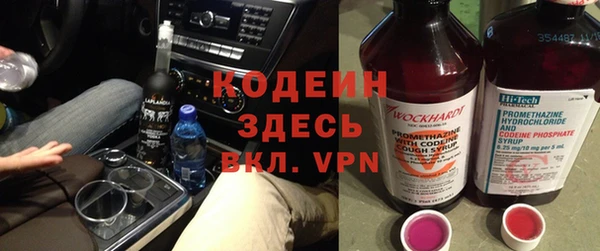 шишки Белокуриха