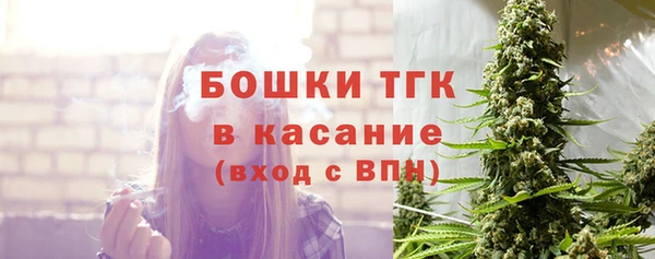 шишки Белокуриха