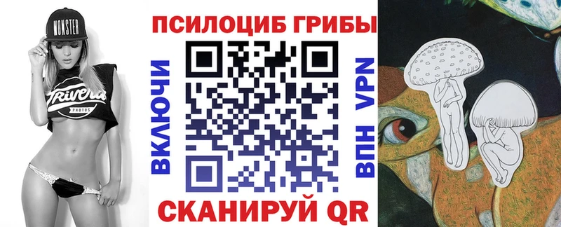 MEGA маркетплейс  купить  цена  Шенкурск  Псилоцибиновые грибы Cubensis 